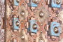 GINER Y COLOMER Armoire 2 portes en bois de manguier, couleur nogal et gris vieilli